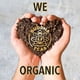 thumbnail image 5 of 18 bolsitas de té de cardo mariano orgánico de Tea Buddha Teas, 5 of 7