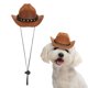 thumbnail image 1 of Sombrero de Vaquero para Perro Uxcell, Mini Sombrero de Vaquero para Mascota con Correa de Barbilla Ajustable, Gorra de Cosplay (Marrón, S), Para Perros y Gatos, 1 of 7