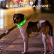 thumbnail image 5 of Collar LED para perro recargable por USB: collar luminoso brillante y de alta visibilidad para paseos nocturnos de mascotas., 5 of 5