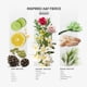 thumbnail image 2 of Perfume AROMAPLAN AromaPlan Hotel Scents Inspirado en A+F Fierce, 2 of 6