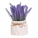 thumbnail image 2 of Juego De Jarrón Artificial Para El Hogar Con Planta En Maceta De Lavanda Para Comedor, Hotel, Cocina, Estilo B, 2 of 5