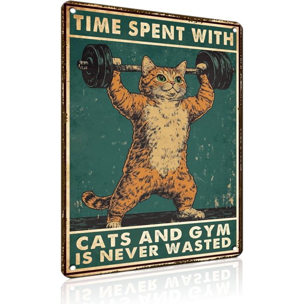 Letrero estaño metal gimnasio no dejas entrenar envejeces vintage arte pared hogar boxeo club 30x40cm