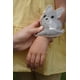 thumbnail image 3 of Pack de 2 Gel Fríos Bulldog-Gato, 3 of 3