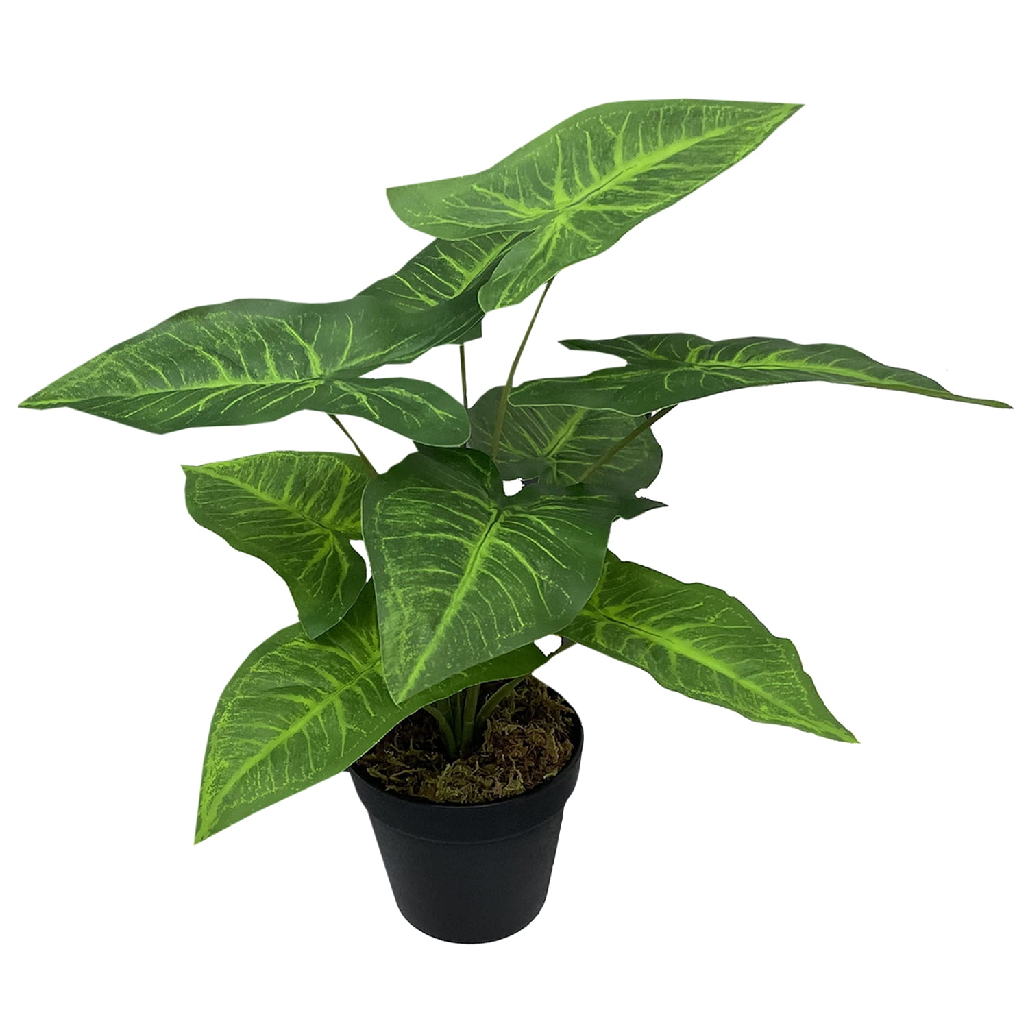 Tyshen - Mouse Gamer M14 3200 Dpi Luces Led Rgb Usb Negro