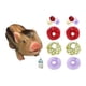 thumbnail image 3 of Pequeño Cerdo Renacido De Juguete Realista Suave Para Juegos De Rol, Accesorios De Fotografía Para Fiestas C, 3 of 5