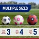 thumbnail image 2 of Balón de fútbol Champion talla 3 Fierce Tide/Coral, 2 of 7