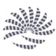 thumbnail image 1 of 12x 3 "Pavo Flecha Flecha Fletches Tiro con arco Arco derecho / izquierdo Alas Blanco, 1 of 5