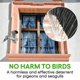 thumbnail image 3 of Espinas anti-pájaros Anytime Garden 3 m de acero inoxidable, 3 of 7