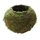 thumbnail image 1 of Maceta Creativa Con Forma De Bola De Musgo, Soporte Para Plantas Bonsái, Hogar Y Jardín, 6cm, 1 of 3