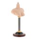 thumbnail image 3 of 1/6 Hombre Hombre Hombre Soporte Medio Bust Base Stand Platform Modelo De PVC Para Pelucas Hembra C, 3 of 5