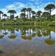 thumbnail image 2 of AQUA MARINA HAMACA SINGLE TOLHUACA., 2 of 6