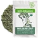 thumbnail image 1 of Té de Hoja de Gordolobo Orgánico Zhivana Organics 56g a Granel, 1 of 8
