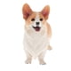 thumbnail image 1 of Animales De Simulación Modelo Figura Ni?os Juguete Educativo Decoración Welsh Corgi A, 1 of 5