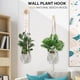 thumbnail image 5 of Ganchos de pared de madera para plantas de interior, de 20 cm, para colgar en la pared, para macetas, faroles, soportes para flores, campanillas de viento y decoración (paquete de 2), 5 of 7
