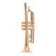 thumbnail image 1 of 1/12 instrumento musical miniatura modelo de trompeta de metal para la decoración de la casa de mu?ecas, 1 of 5