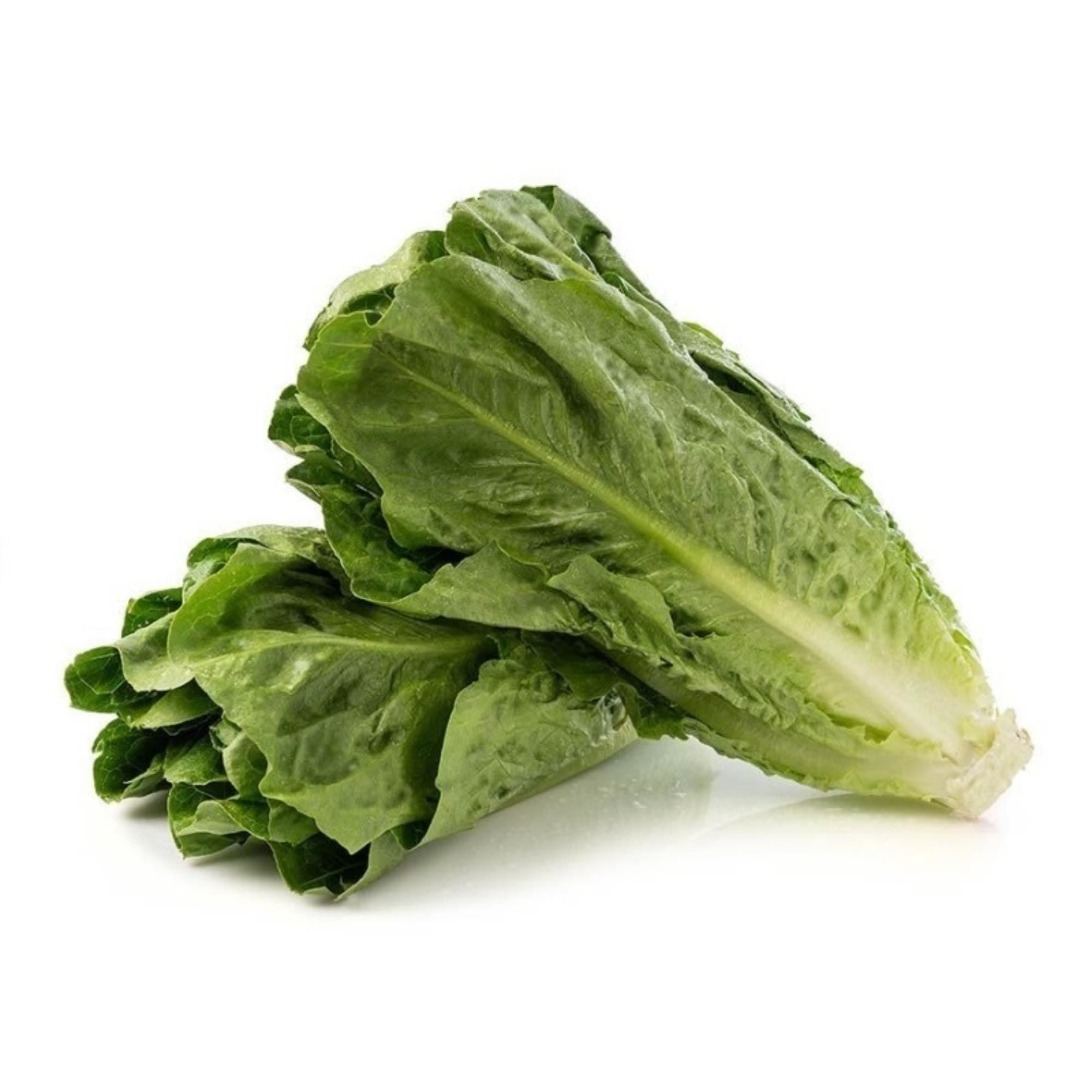 Lechuga Costina Bolsa 2 Un