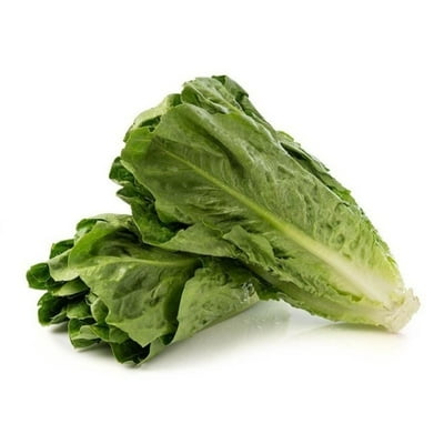 Lechuga Costina Bolsa 2 Un