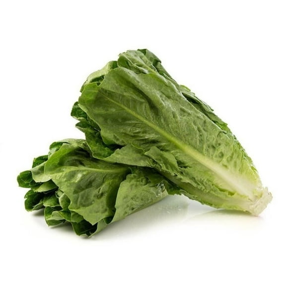 Lechuga Costina Bolsa, 2 Un