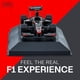 thumbnail image 3 of Modelo a escala 1:43 LUPPA F1 Team F110-2010 de metal fundido, 3 of 8