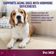 thumbnail image 3 of Suplemento de apoyo a la vejiga Pet MD Bladder Support Plus Cranberry para perros, 60 comprimidos, 3 of 5