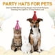 thumbnail image 4 of Sombrero de Cumpleaños para Perros Uxcell, Sombreros Pequeños para Perros Gatos Sombrero de Fiesta de Cumpleaños con Pompones Ajustable Decoración Lentejuelas (Plata, 2 Piezas), 4 of 7