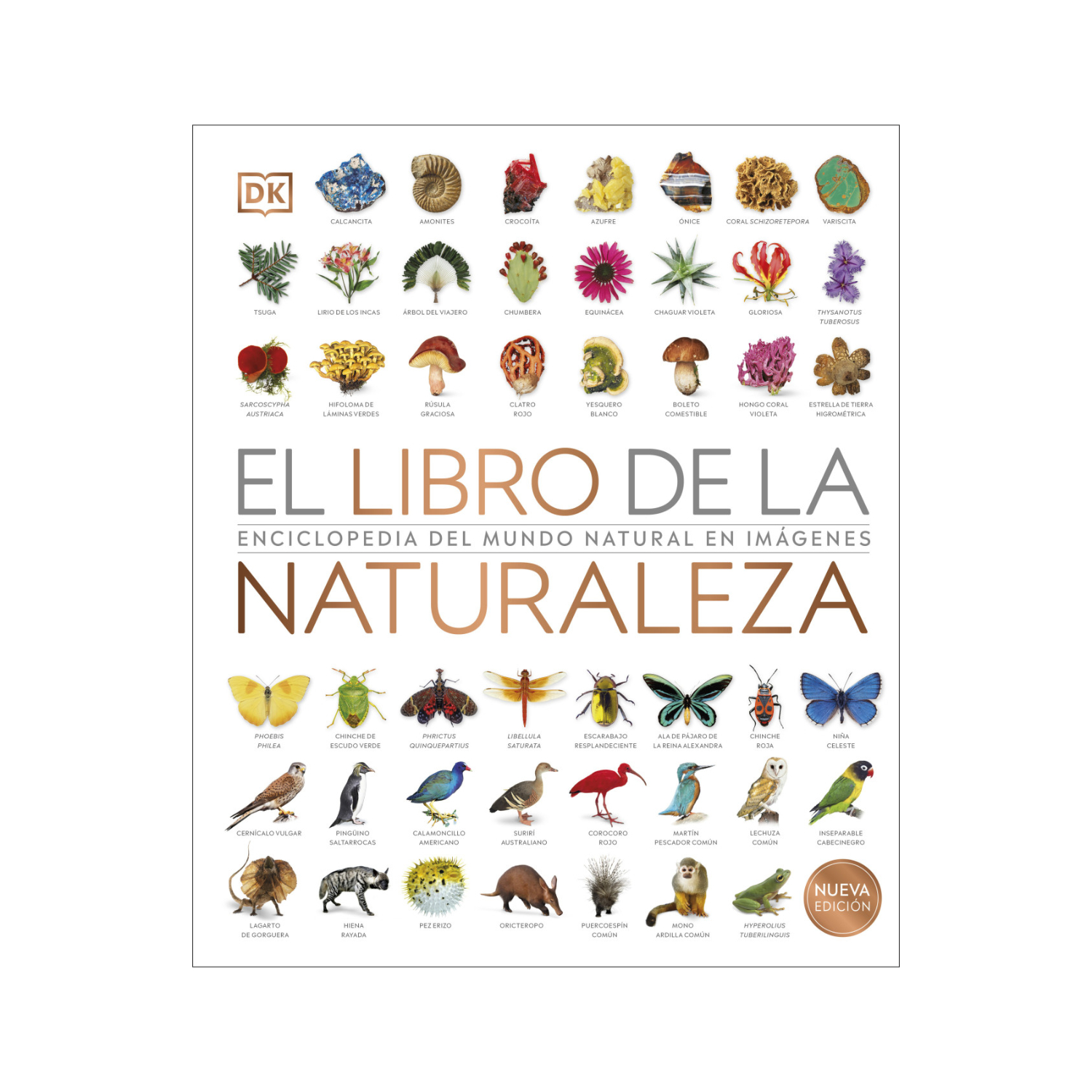 Editorial Dorling Kindersley - El Libro De La Naturaleza Nueva Edición