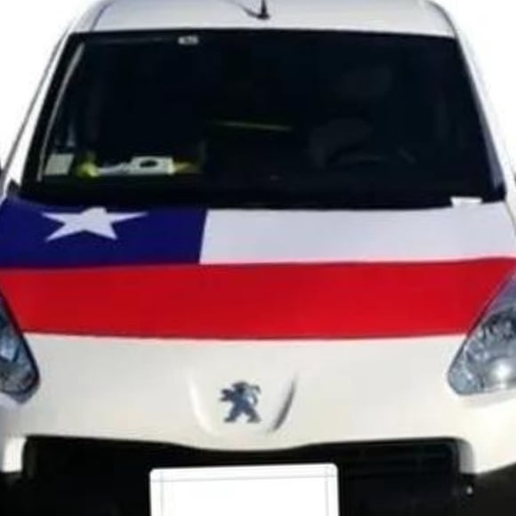 Cubre Capot Funda Estuche Forro Bandera Chile Patria