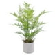 thumbnail image 1 of Helecho Verde En Macetero De Cemento 68 Cm, 1 of 2