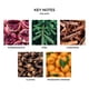 thumbnail image 3 of Vela navideña Candle NEST Fragrances, 60 ml, 3 of 6