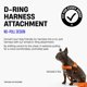 thumbnail image 2 of Accesorio de arnés Dog Friendly Co. Negro S-XL, 2 of 6