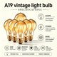 thumbnail image 4 of Bombilla incandescente Kellarosses 40W A19 E26 120V Ámbar regulable Pack de 6, 4 of 9