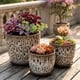thumbnail image 3 of Set 3 Macetero Ceramica Decorativo Texturizado Hogar, 3 of 9