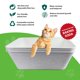 thumbnail image 2 of Caja de arena desechable ANGELYCIA grande 43 × 32 × 17 cm – paquete de 5 con bicarbonato de sodio, 2 of 7