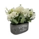 thumbnail image 3 of Planta Artificial Macetero De Cemento Flowers And Plants blanco, 3 of 8