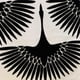 thumbnail image 3 of Cojín decorativo Plutus Brands Black Swan Black 22 cm, 3 of 3