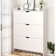 thumbnail image 1 of Zapatero Mueble Organizador de Zapatos para Entrada o Dormitorio Color Blanco, 1 of 3