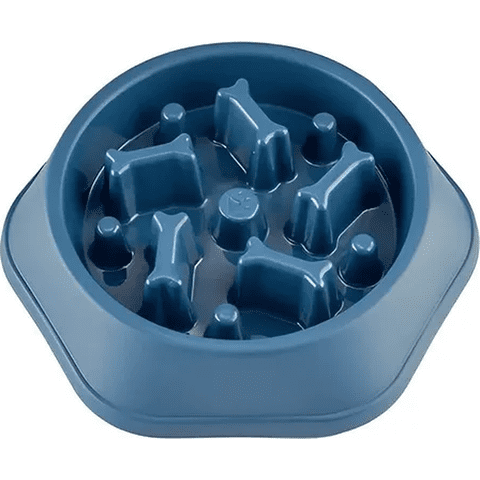 Genérico - Plato Per-Ros Come Lento Perros Mascotas Color Turquesa