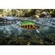 thumbnail image 2 of Señuelo de Pesca Poseidon Minnow 8 g Fire Trout para Trucha y Salmón 2 Anzuelos Triples, 2 of 5