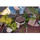 thumbnail image 4 of Espuma Floral Oasis Forage 23x10x8 cm Pack de 4 Degradable, 4 of 6