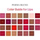 thumbnail image 4 of Set de tintas para tatuajes de labios Perma Blend Pink Vegan 15 ml (3 veces), 4 of 6