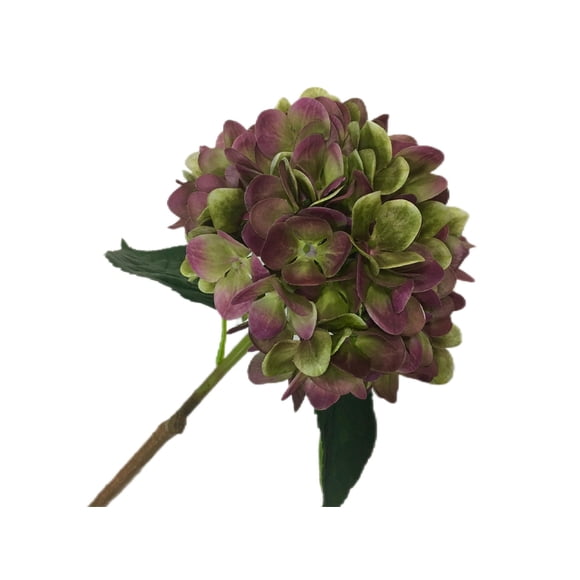 Hortensia Envejecida Crema 70cm