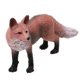 thumbnail image 1 of realista rojo lowrie fauna animal estatuilla modelo acción figura ni?os juguete, 1 of 2