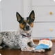 thumbnail image 4 of Fluffles Chips - Peluche sensorial para perros, 4 of 5