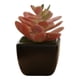 thumbnail image 1 of Set 3 Planta Artificial Decorativa Suculenta Ornamental Jhn, 1 of 3