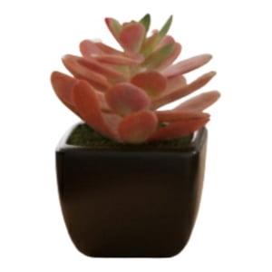 Genérico - Set 3 Planta Artificial Decorativa Suculenta Ornamental Jhn