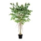 thumbnail image 1 of Planta Artificial Ficus Con Raices 150 Cm, 1 of 2