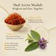thumbnail image 5 of Crema Hidratante Facial PRANA Saffron Radiance 50 ml, 5 of 8