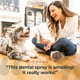 thumbnail image 2 of Spray Oxyfresh Cuidado Dental Perro Gato XL 237ml, 2 of 2