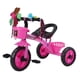 thumbnail image 1 of Triciclo Infantil Bici Con Canastos y Cintas Rosado, 1 of 6
