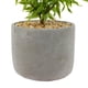 thumbnail image 3 of Planta Artificial Helecho Inés 32 CM con Macetero, 3 of 3
